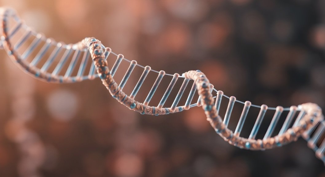 PDRN-Lososi-sperma-2